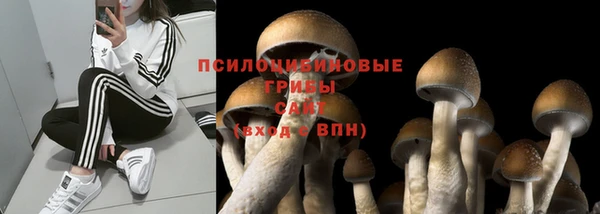 спайс Арсеньев
